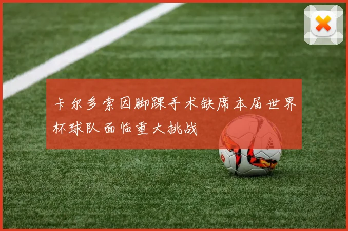 卡尔多索因脚踝手术缺席本届世界杯球队面临重大挑战